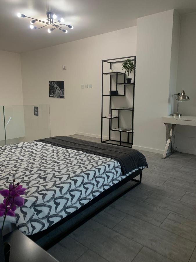 Ekskluzywny Penthouse Z Ogrodem W Centrum Lodzi Екстериор снимка